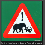 4. Cuidado, elefantes en la vía.