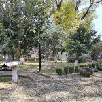 EXCONVENTO DE TRIPETÍO. EL MONUMENTO.