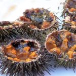 ¡Marchando! PROPRONEWS