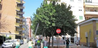 Recolección en una calle cualquiera de Sevilla. PROPRONEWS