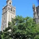 La Giralda, vista desde el Patio de los Naranjos. PROPRONEWS