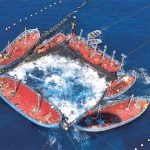 Vista aérea de una levantá. AYUNTAMIENTO DE CONIL