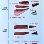 Didáctica del atún.