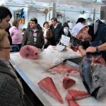 Ronqueo habitual en el Mercado de Cádiz, todo un espectáculo. PROPRONews