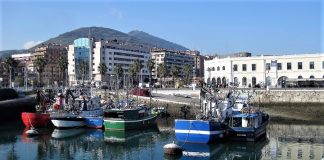 Barcos de pesca en el puerto de Santurtzi. PROPRONews