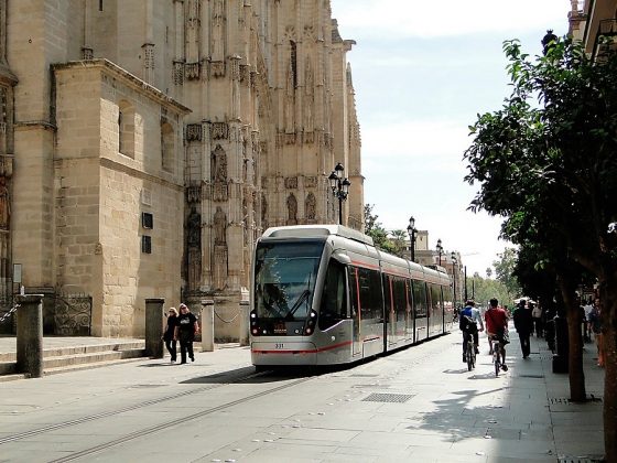 Solería del entorno de la catedral y la Giralda de Sevilla. SEVILLA CITY CENTRE