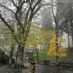 La periodista desentrañando los misterios del umbroso Orvieto.