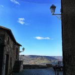 Killer, el inseparable.