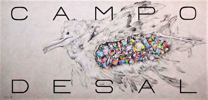 CAMPO DE SAL. Grafíto, tiza, lápiz color y acrílico sobre tabla. 60,5x125 cm.