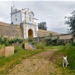 Tony vive con su dueño y empresario en Elvas (Portugal). PROPRONews