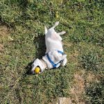 Tony, después de una larga jornada. No todo va a ser trabajar. PROPRONews