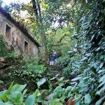 La frondosidad de la comarca es extraordinaria.