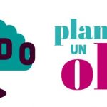 Olivo