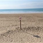 Hay numerosas señales que muchos no respetan. CEDIDA