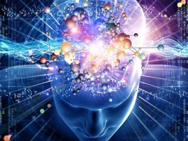Las potencialidades del cerebro humano son inmensas. RTVE