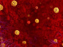Coronavirus.