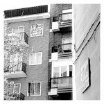 ADRIÁN PAGADOR SARACHO