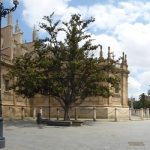 Monumentos y soledad. J.M. PAGADOR