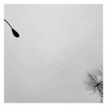 La única imagen de Paraíso. ADRIÁN PAGADOR SARACHO