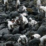 Unos hilitos de plastilina, dijo Rajoy. RTVE