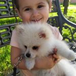 Con Simbad, su perrito pomerania. PROPRONEWS