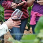 Ruta del Vino Ribera del Guadiana