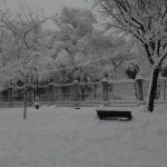 Retrato de ausencia. ADRIÁN PAGADOR SARACHO