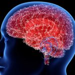 El cerebro humano, un órgano perfectamente manipulable. RTVE