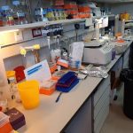 Laboratorios en precario, por falta de medios y de estabilidad de los investigadores.