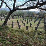 Cementerio militar alemán de Cuacos de Yuste. J.M. PAGADOR