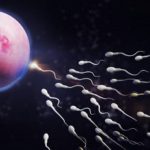 Espermatozoides, óvulo y el azar original. 21N