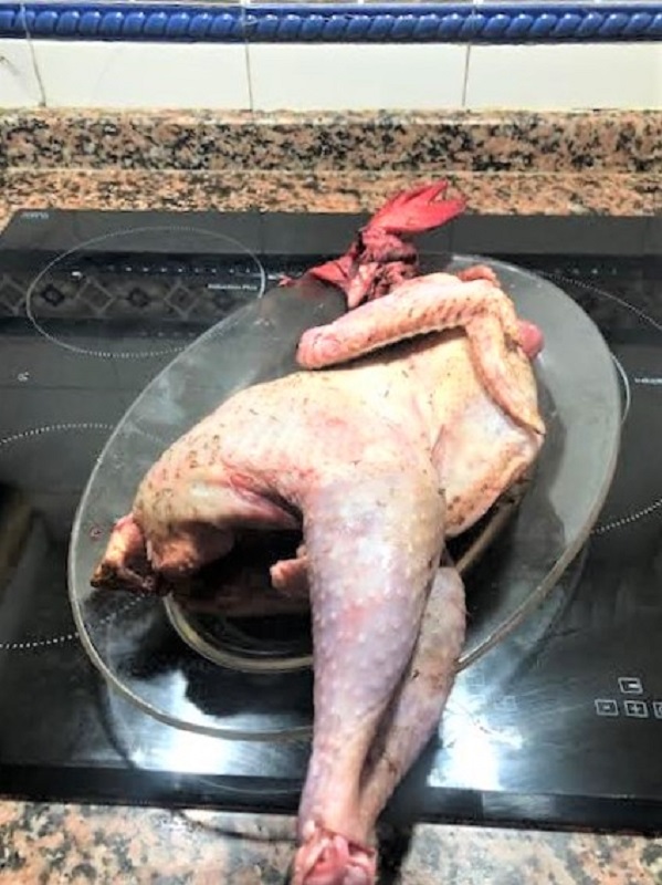 gallo en plato