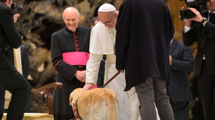 El Papa ha dicho que hay que tener hijos antes que perros y gatos. LOR
