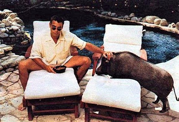 George Clooney con su cerdo.