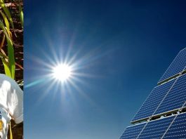 Pedro Pazos fue un pionero de la energía solar fotovoltaica.