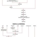 Rabo de toro al vino tinto, con arroz pillaf y tomate provenzal