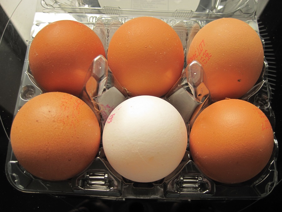 Huevos de la mejor calidad. PROPRONews
