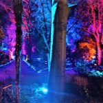 Parque del Retiro con iluminación especial