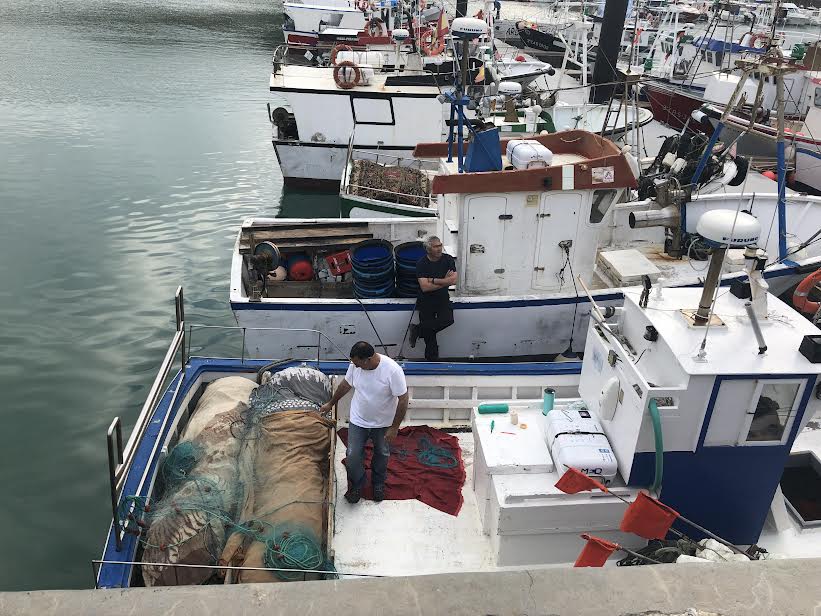 Profesionales de la pesca en el puerto de Conil.
