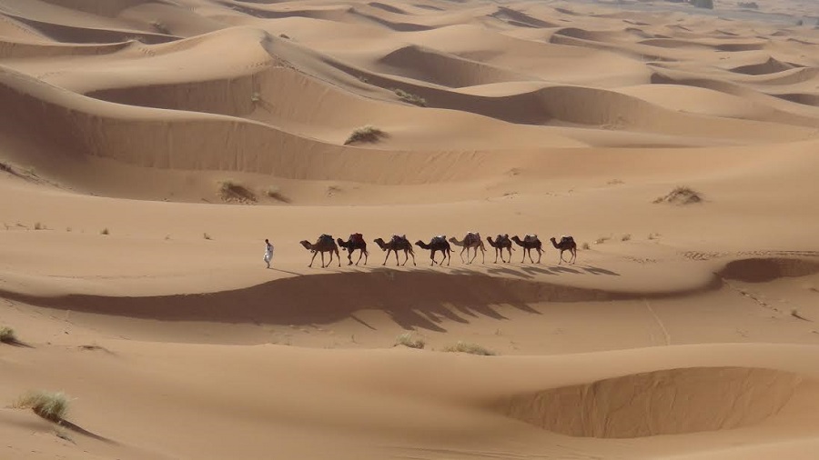 Desierto del Sáhara marroquí.
