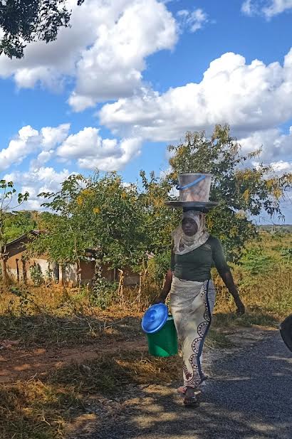 Mujer mozambiqueña acarreando leña para el hogar.