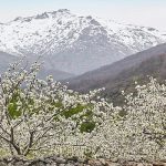 Pobre mundo rural extremeño, en manos de esta gente a partir de ahora. MONTAJE PROPRONews/RTVE