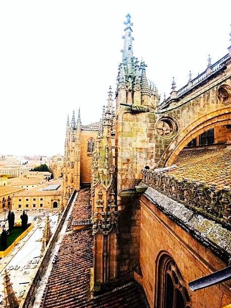 Universidad de Salamanca desde la Catedral nueva.