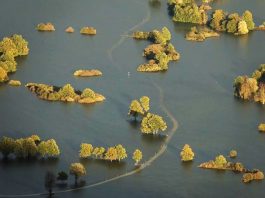 Camino a la nada. C. Mayaud-Imaggeo